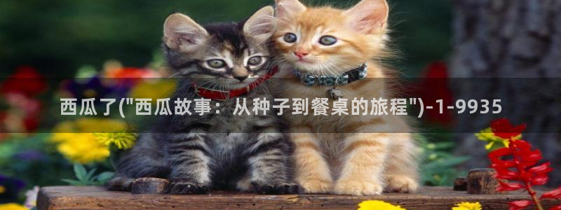 十年爱西瓜影院