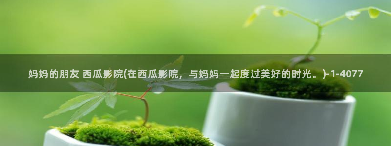 西瓜影院朴妮唛