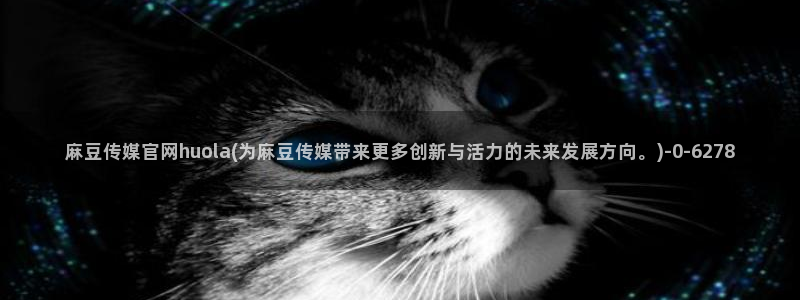 麻豆完整版合集：麻豆传媒官网huola(为麻豆传媒带