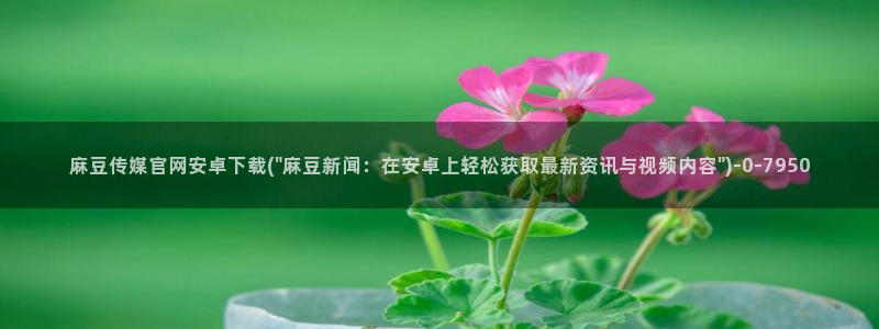 麻豆视频热门专区：麻豆传媒官网安卓下载(\