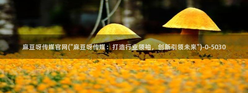 麻豆最新下载：麻豆呀传媒官网(\