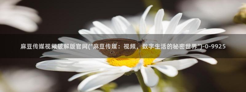 麻豆视频 完整版导航