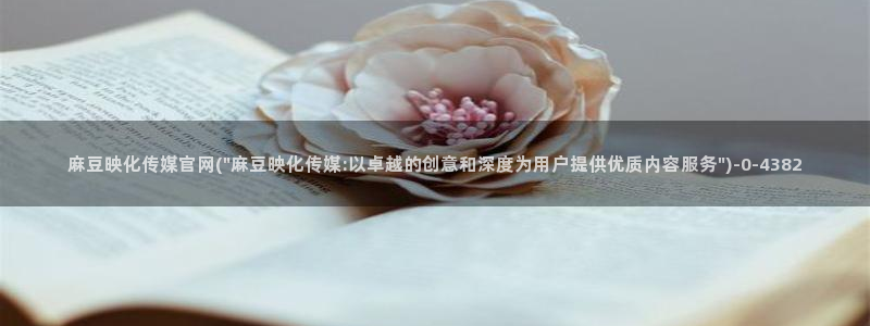麻豆合集入口：麻豆映化传媒官网(\