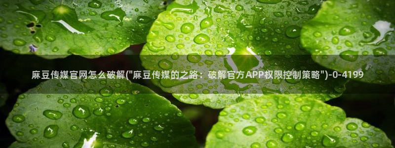 麻豆视频 热门资源