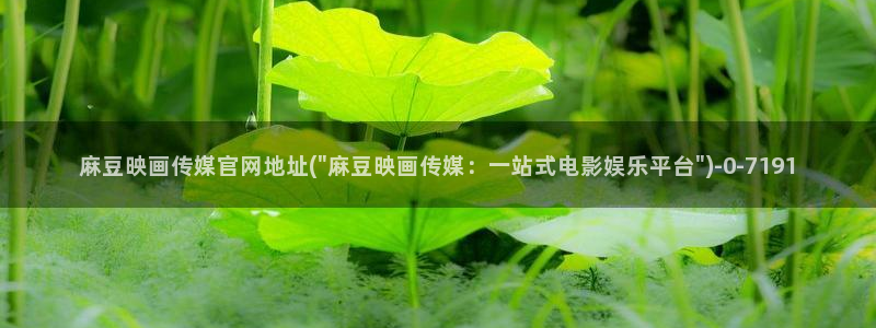 麻豆视频更新高清：麻豆映画传媒官网地址(\