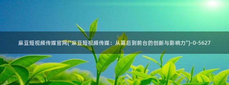 麻豆视频 资源整理：麻豆短视频传媒官网(\