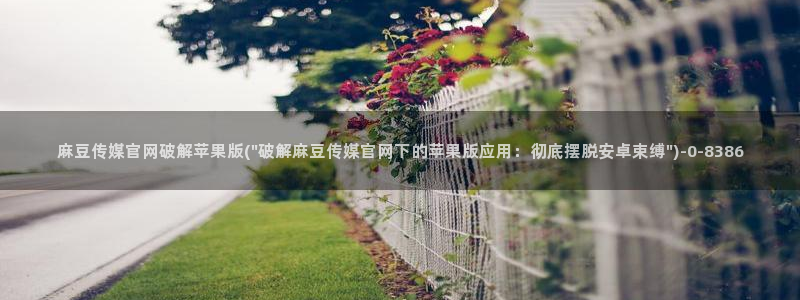 麻豆完整版视频：麻豆传媒官网破解苹果版(\