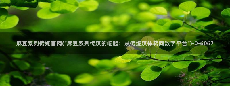麻豆视频 合集最新
