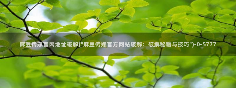 麻豆视频内容资源
