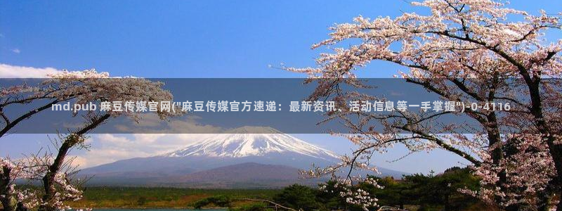 麻豆视频 图集入口