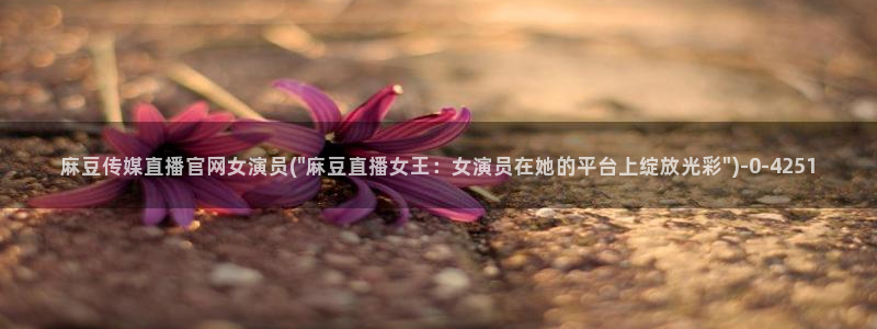 麻豆视频推荐在线看