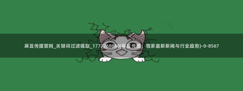 麻豆视频 高清整理：麻豆传媒官网_关键词过滤提取_177