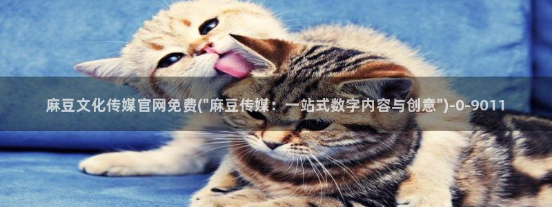 麻豆在线看专区