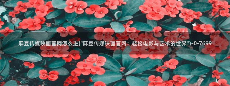 麻豆 入口专区
