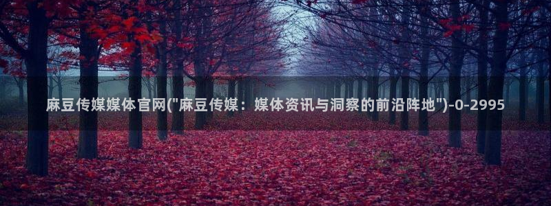麻豆视频热门整理