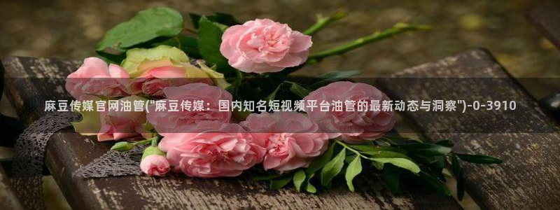麻豆视频 在线看高清