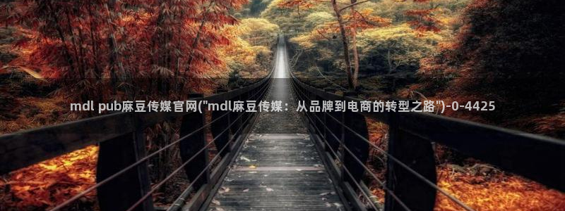 麻豆视频 短片导航：mdl pub麻豆传媒官网(