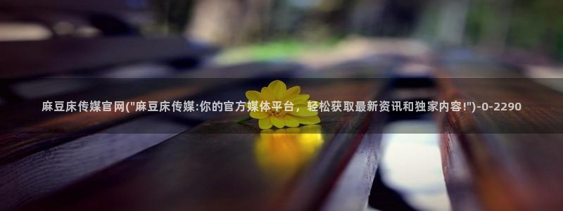 麻豆视频 完整版整理
