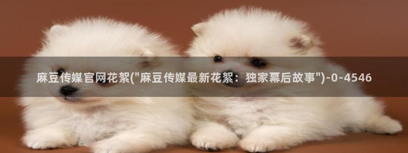麻豆合集高清：麻豆传媒官网花絮(\