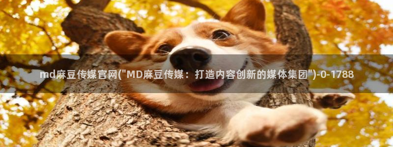 麻豆视频最新整理