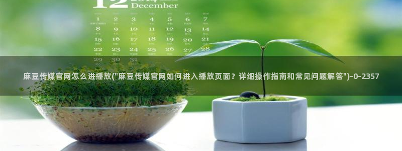 麻豆合集页面：麻豆传媒官网怎么进播放(\