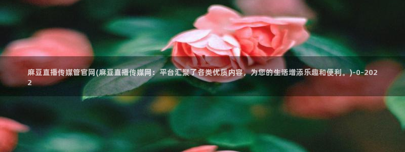 麻豆视频内容在线看
