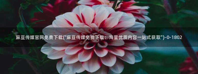 麻豆视频 完整版在线看：麻豆传媒官网免费下载(\