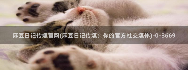 麻豆视频最新页面