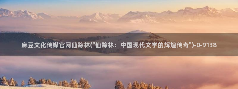 麻豆视频 完整版视频