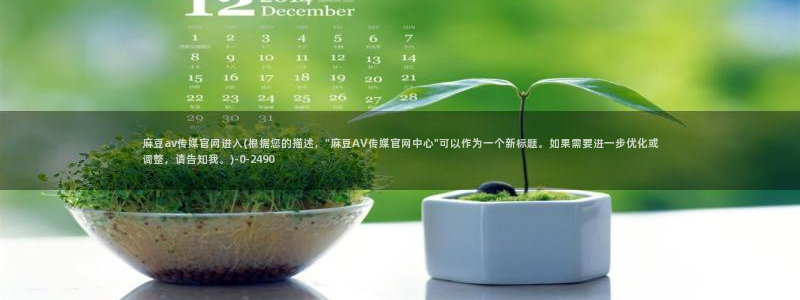 麻豆视频 合集更新