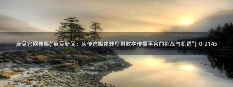 麻豆视频合集推荐：麻豆官网传媒(\