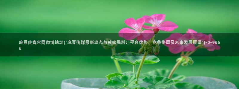 麻豆视频 在线看合集：麻豆传媒官网微博地址(\
